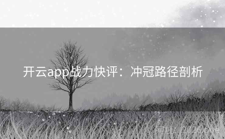 开云app战力快评:冲冠路径剖析 开云app战力快评:冲冠路径剖析