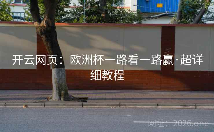 开云网页:欧洲杯一路看一路赢·超详细教程