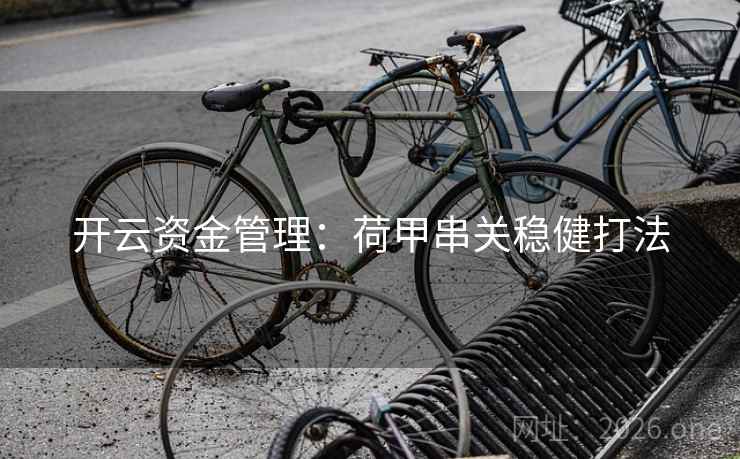 开云资金管理:荷甲串关稳健打法 开云资金管理:荷甲串关稳健打法