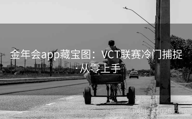 金年会app藏宝图:VCT联赛冷门捕捉·从零上手 金年会app藏宝图:VCT联赛冷门捕捉·从零上手