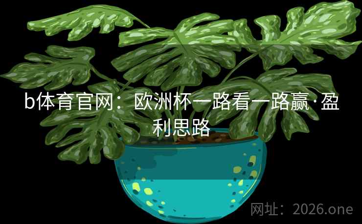 b体育官网：欧洲杯一路看一路赢·盈利思路